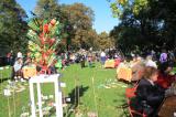 Pop PikNik 10 * 5184 x 3456 * (10.81MB)